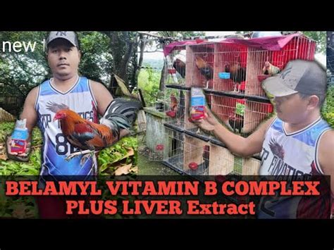 BELAMYL B COMPLEX PARA SA ATING MGA MANOK .